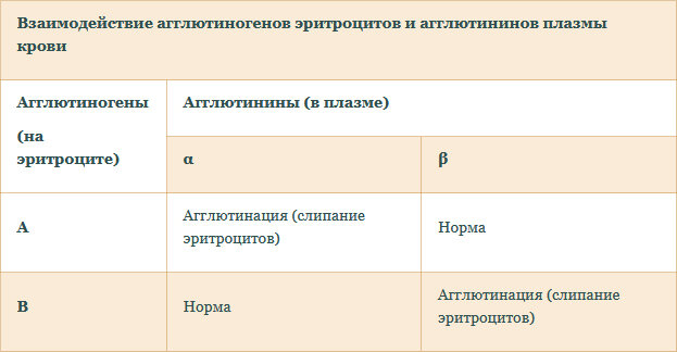 Агглютинация агглютиногены агглютинины. Агглютиногены эритроцитов. агглютинины α и β. агглютиноген в эритроцитах.