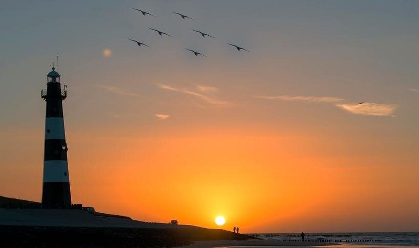 Штампом можно не только убирать ненужные детали, но и клонировать любые объекты. Например, на этом снимке одна птица превратилась в стаю. Фото до обработки: pixabay.com