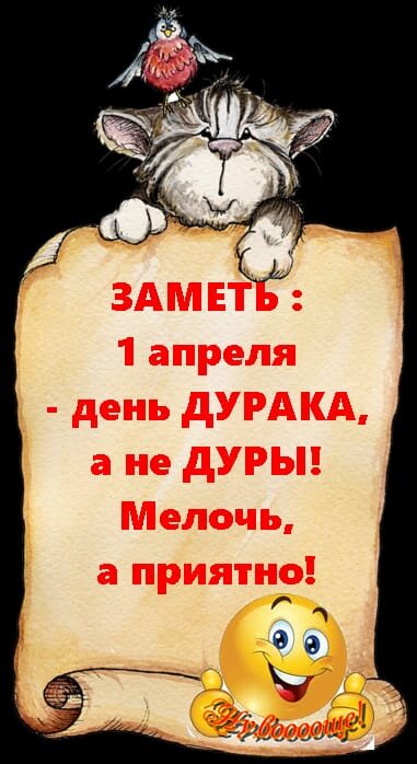 картинка из интернета