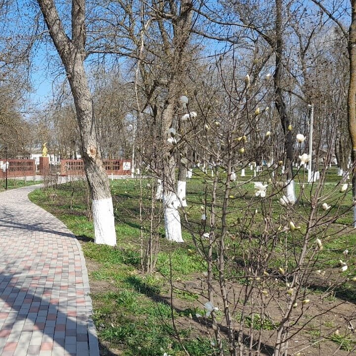 Краснодарский край село киевская погода. Село Киевское.