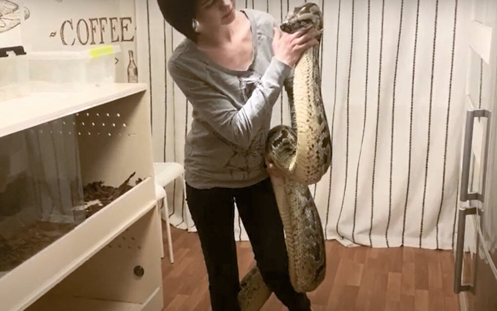 Вот он .Этот коварный тип гражданской наружности.