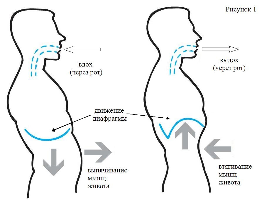 Диафрагмальное дыхание сидя на стуле