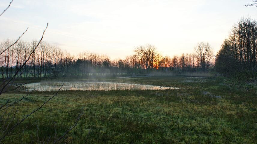 Утро на озере.