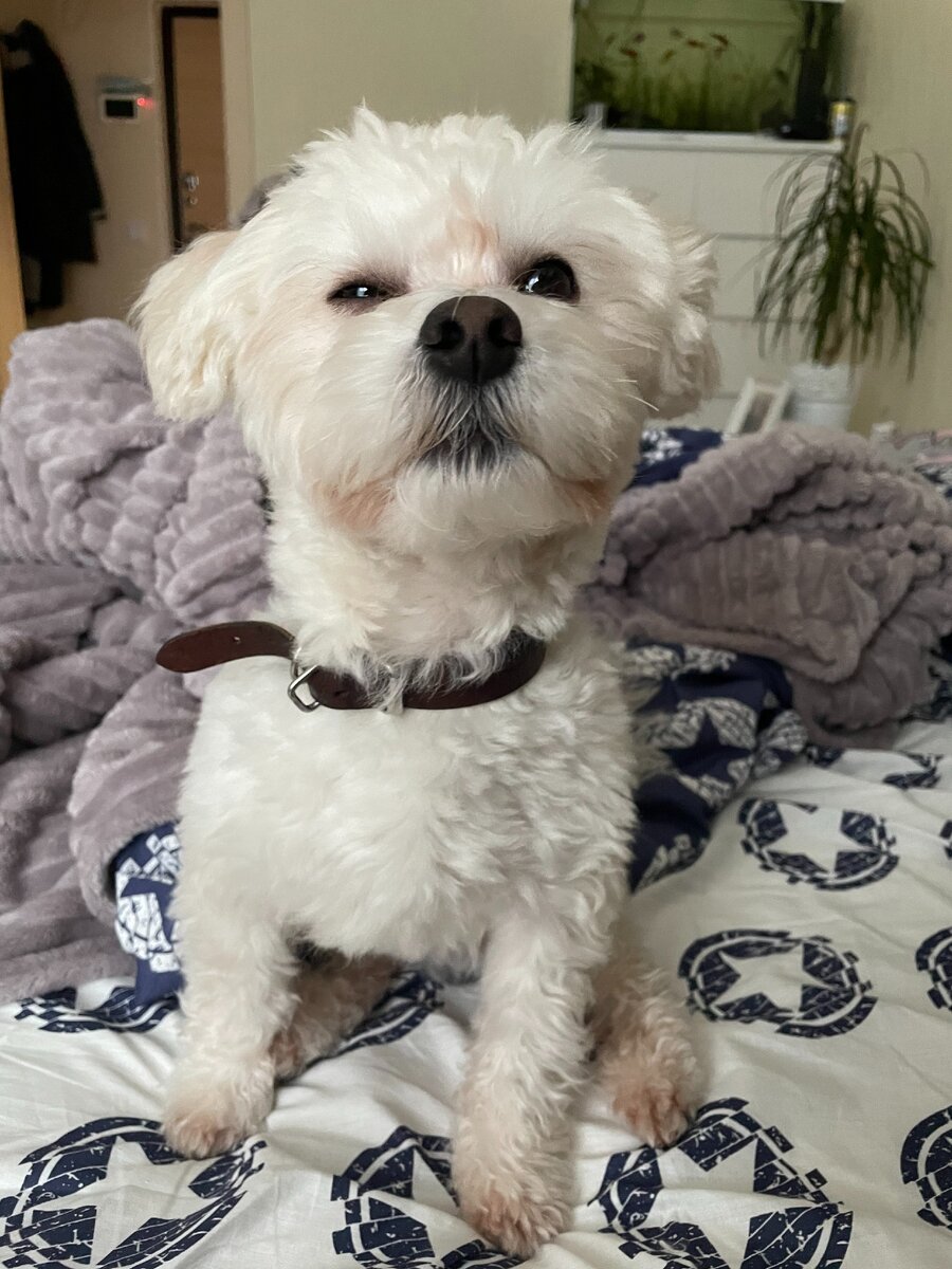 Веня на кроватке до переезда. Прищурился. Гордый. Или сонный?