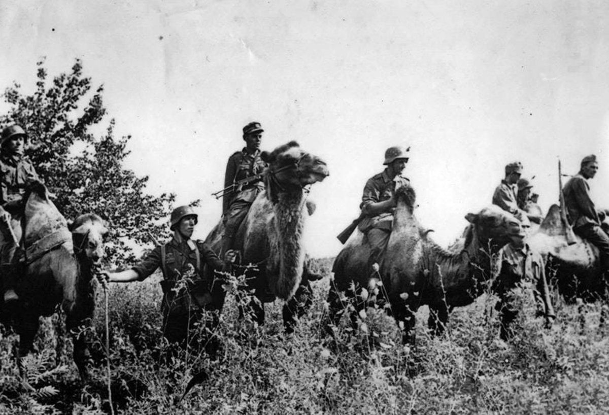 В ожидании указания