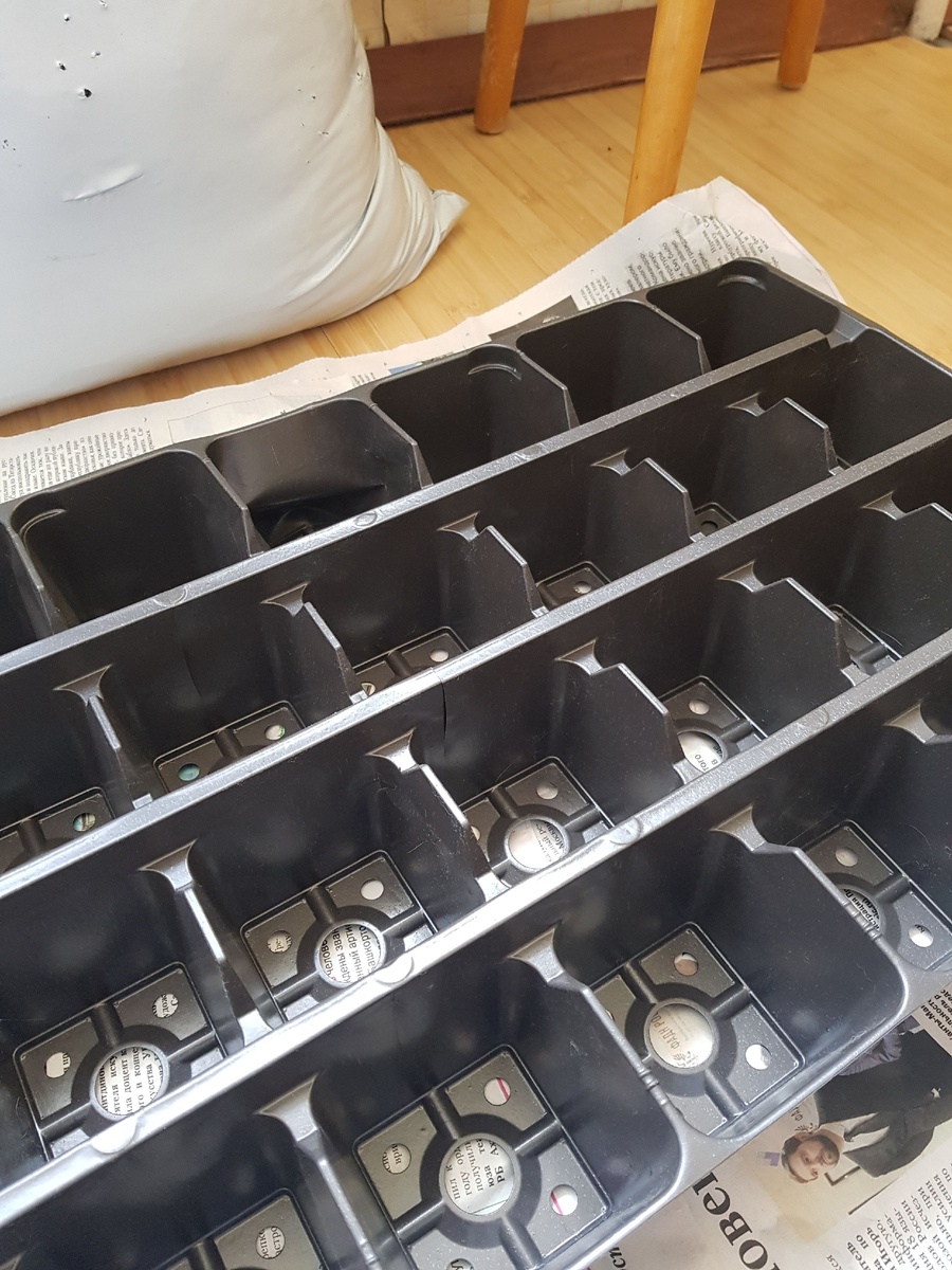 Я  сажаю в такие касетки 