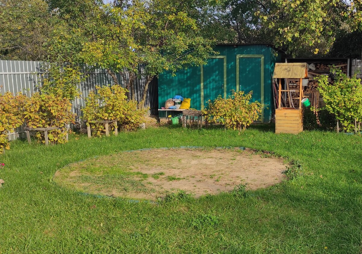 выращивание идеального газона