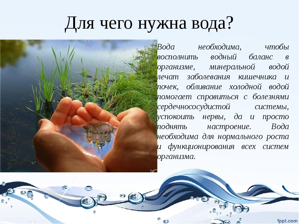 Вода в жизни организмов. Для чего нужна вода. Зачем человеку вода. Почему человеку нужна вода. Для чего нужна вода человеку.