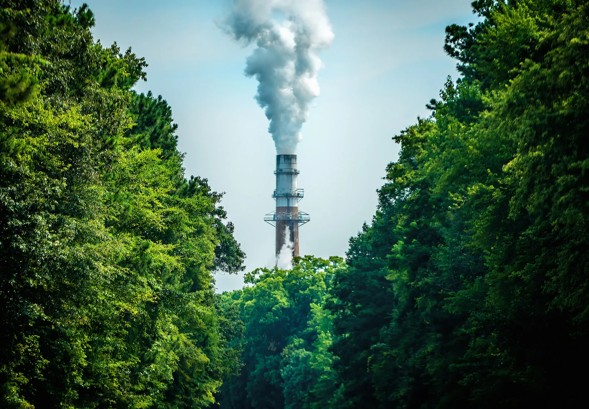 Очищение воздуха деревьями. Промышленные выбросы в атмосферу. Завод в лесу. Загрязнение воздуха. Экология воздуха.