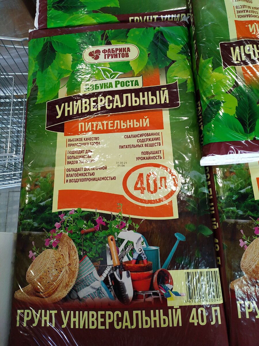 Фотография автора статьи