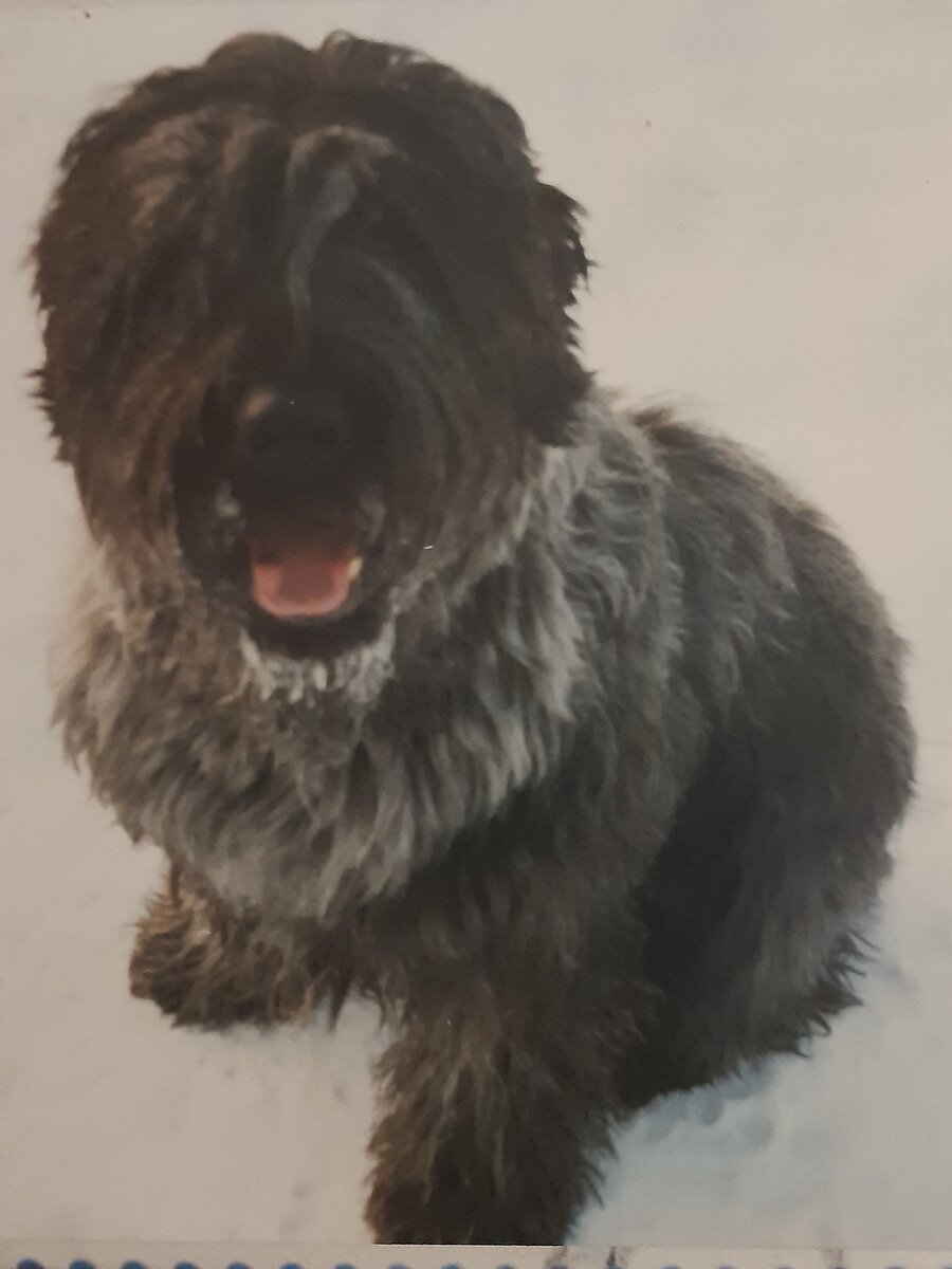 А вот и Барсик. Фото автора