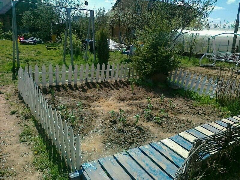 Как то так , выглядела первая попытка создать там клумбу)