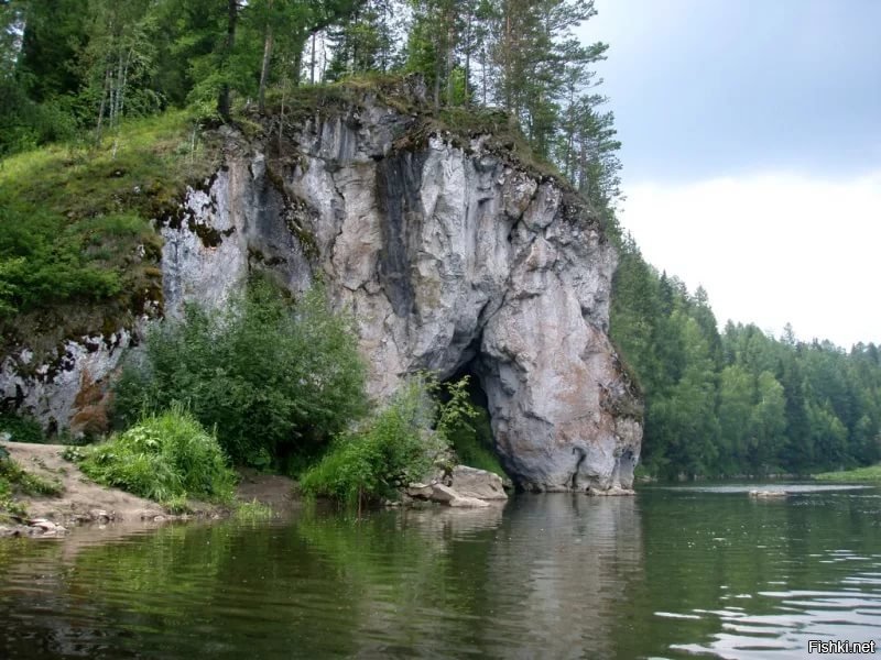 Пьющая Лошадь. Парк "Оленьи Ручьи"