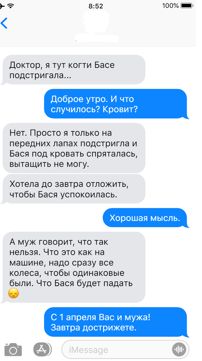 Смешные переписки: что можно спросить у ветеринара | СобачьЯ жизнь | Дзен