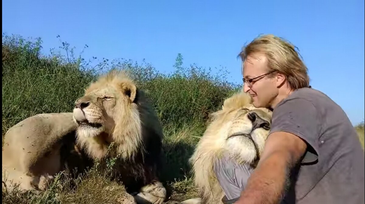 Алексей Тихонов и его залюбленные львы