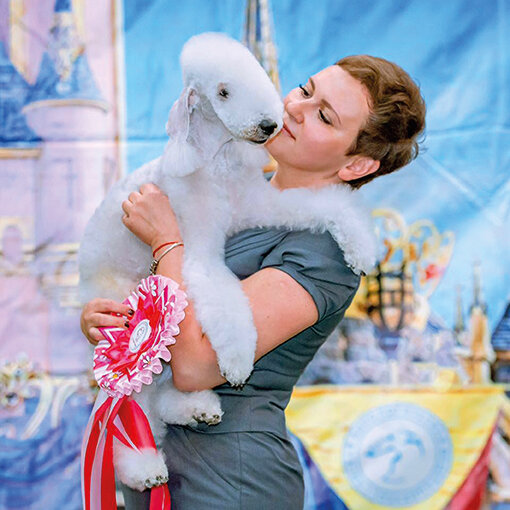 Светлана Пряхина, грумер