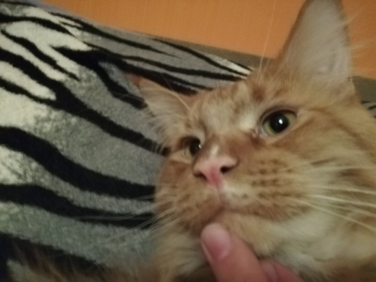 Задумался о сущности бытия