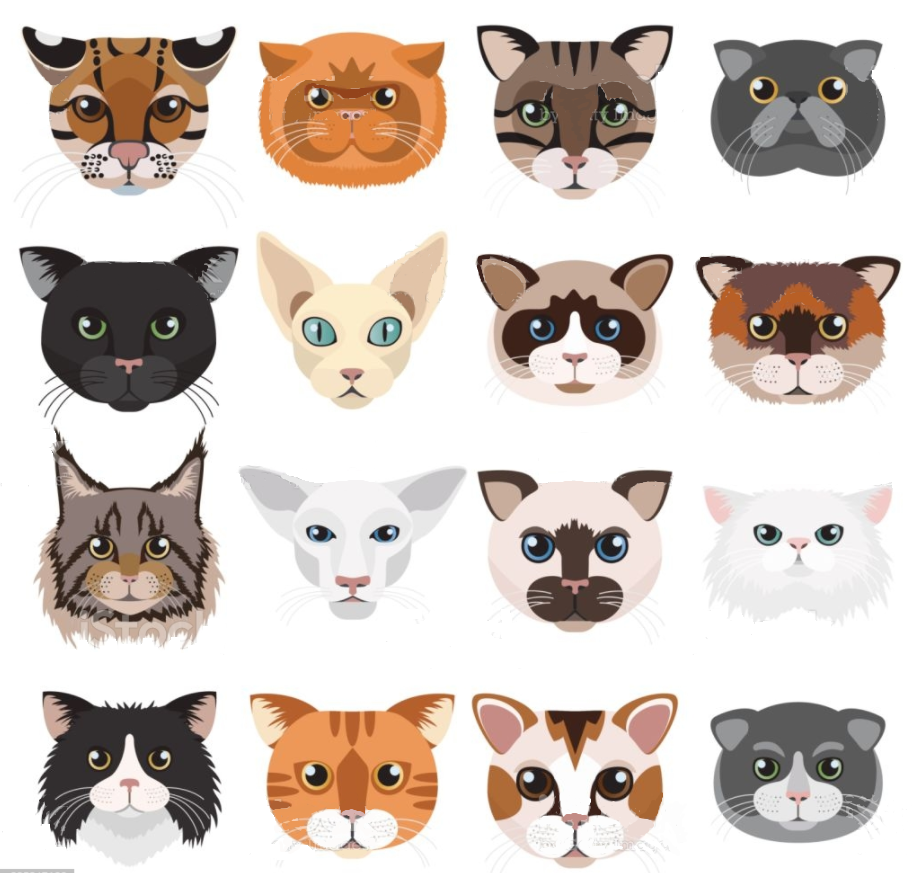 Милые мордочки, все одинаково милы.