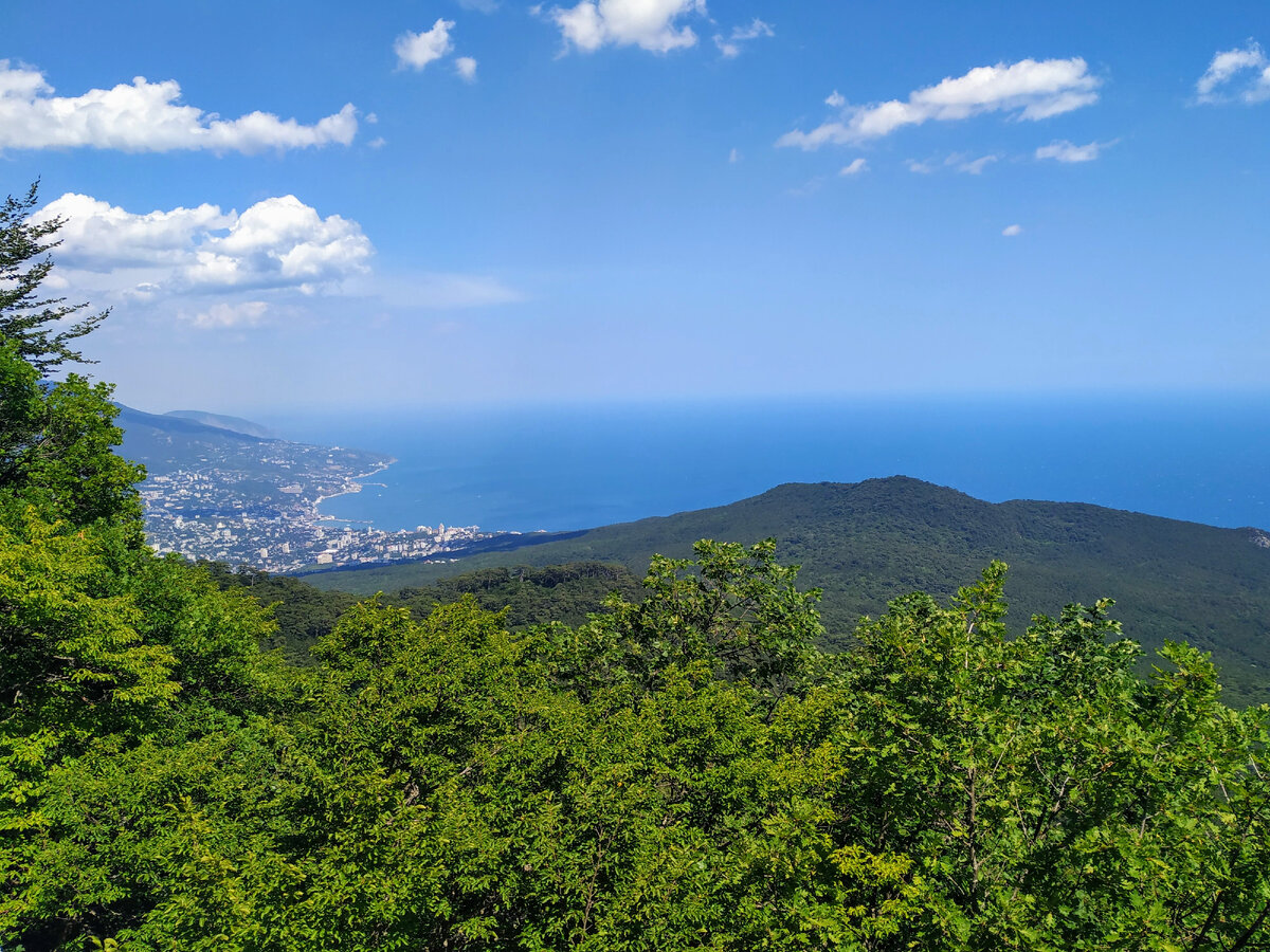 Вид на Ялту с Ай-Петри