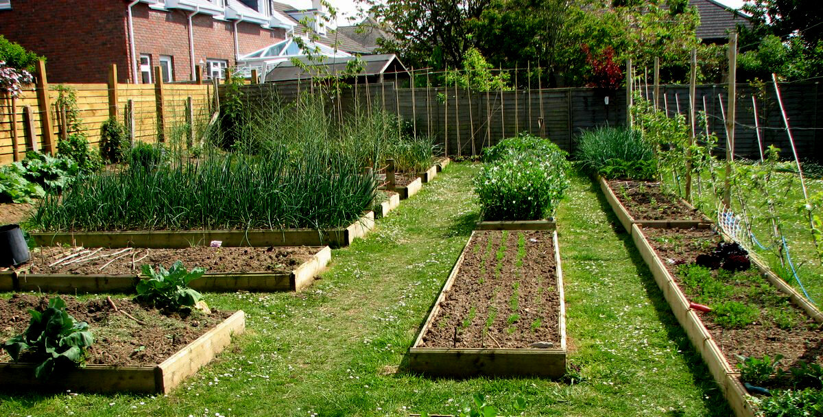 Конечно, "быстрая" грядка не будет такой! Но ... что-то похожее есть.... Фото из свободного доступа.