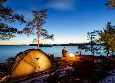 Картинка Яндекс