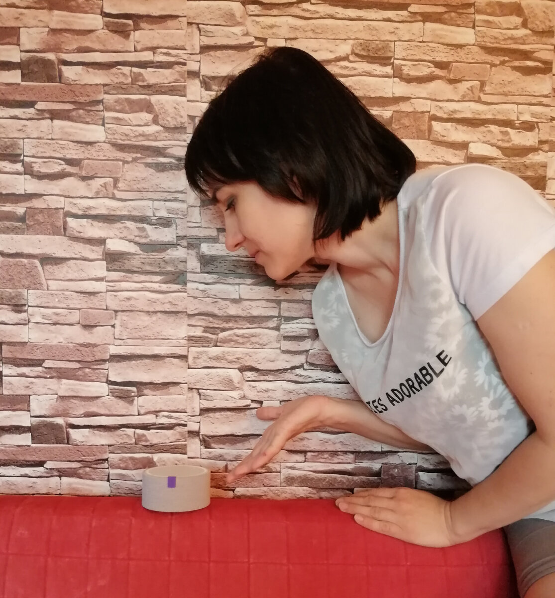 Я не сошла с ума. Пытаюсь поговорить с Алисой.