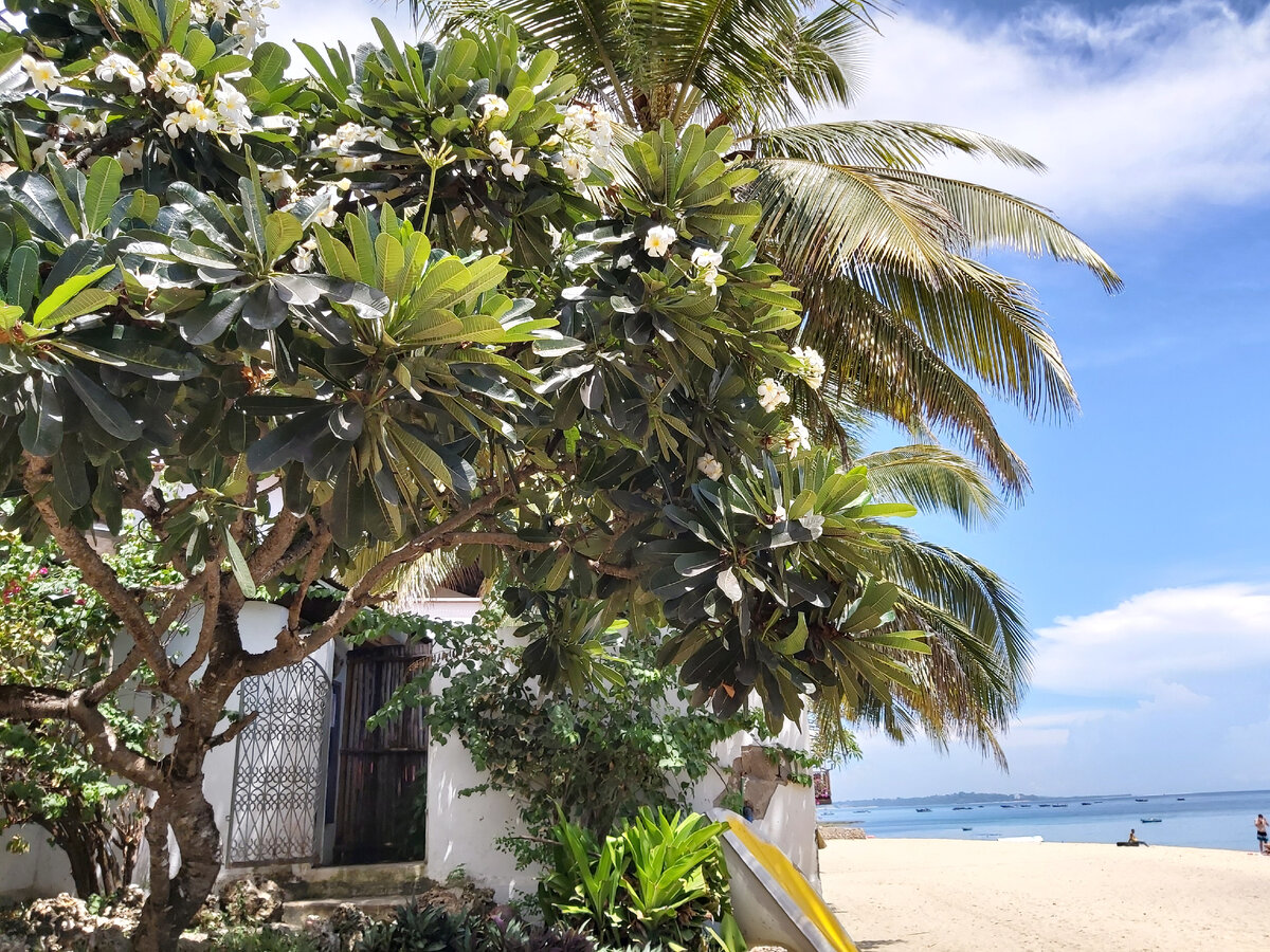 Подписывайтесь на канал! Ставьте лайки!