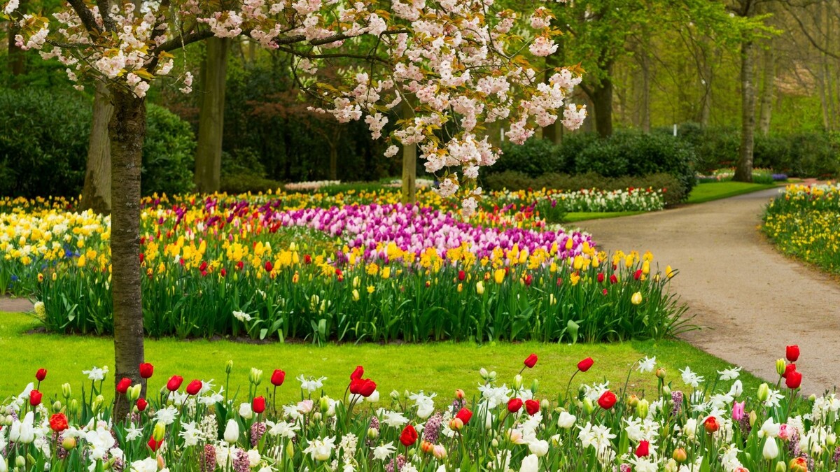 Весенний сад