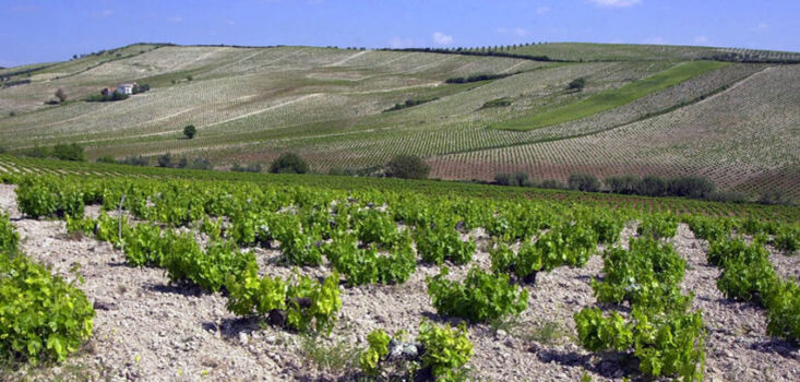 Монтилья-Морилес