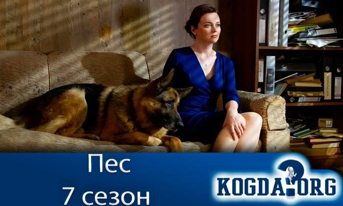 Кадр из сериала "Пёс"