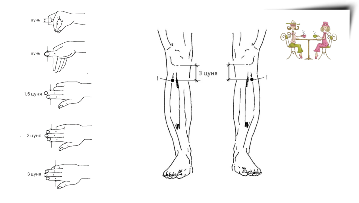 Точка используя. Точка цунь Коу. Индивидуальный цунь равен. Цунь в акупунктуре.