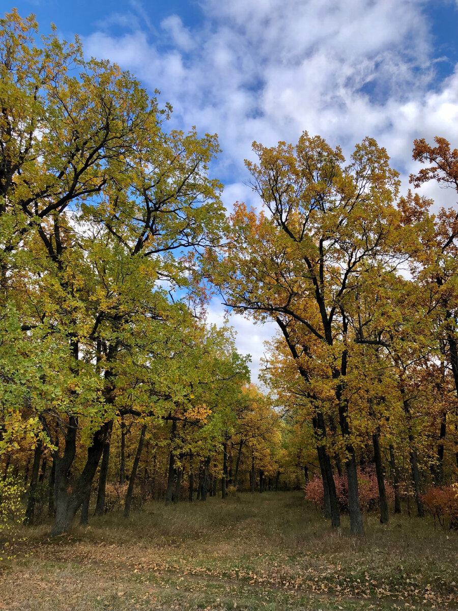 Фото из личного архива 
