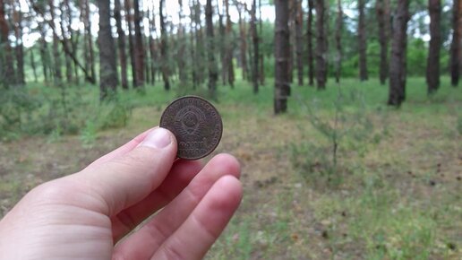 Посади лес - сервис восстановления лесов