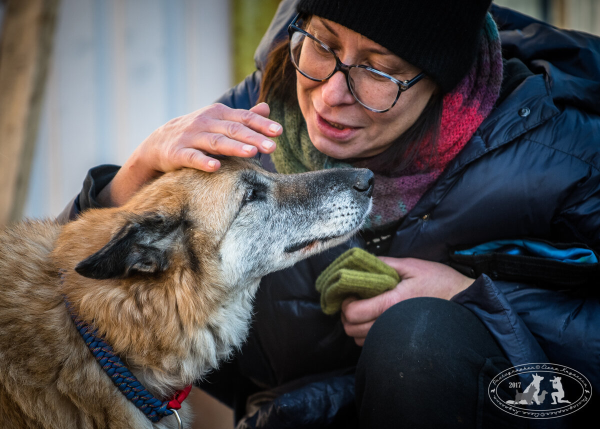 Пальма обожает внимание. Но так как многие годы она провела в приюте, сейчас ей особенного не хватает его