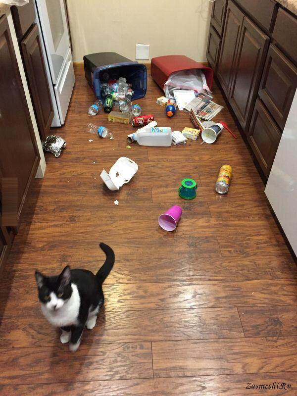 А это всё они, они сами упали...