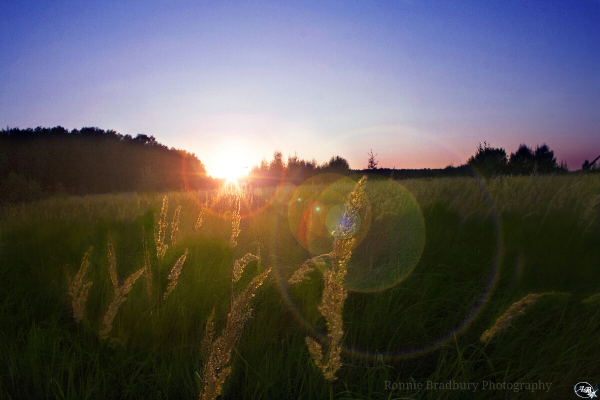 Ronnie Bradbury - это я. Я раньше так подписывала свои фото-работы, которые можно посмотреть в моей группе https://vk.com/avbph или в Instagram https://www.instagram.com/mental_suspense/