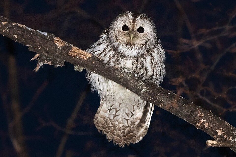 Фото для обложки