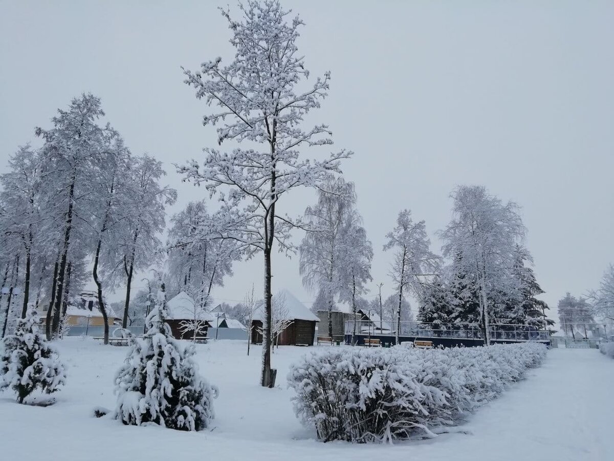 Фото автора. Наш заснеженный парк.