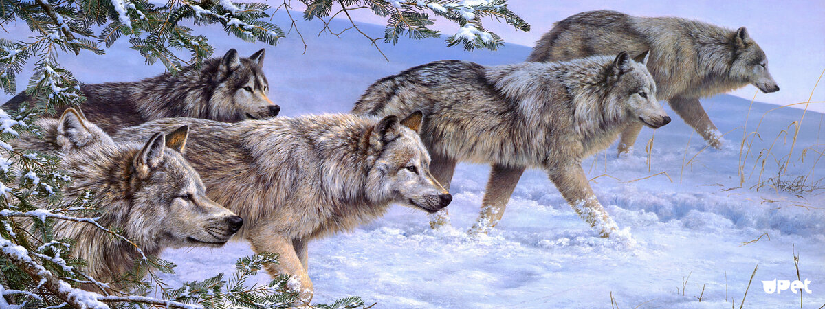 Архив работ Инги Хосроевой, канал автора https://www.youtube.com/channel/UC5cIsAXmIDlxNP0MNDJFYmA