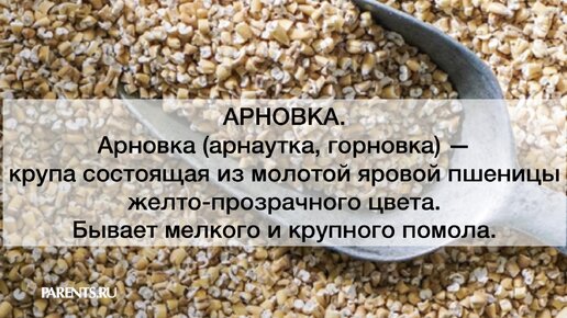 Не гречкой единой: вкусные и полезные каши, о которых многие не знают