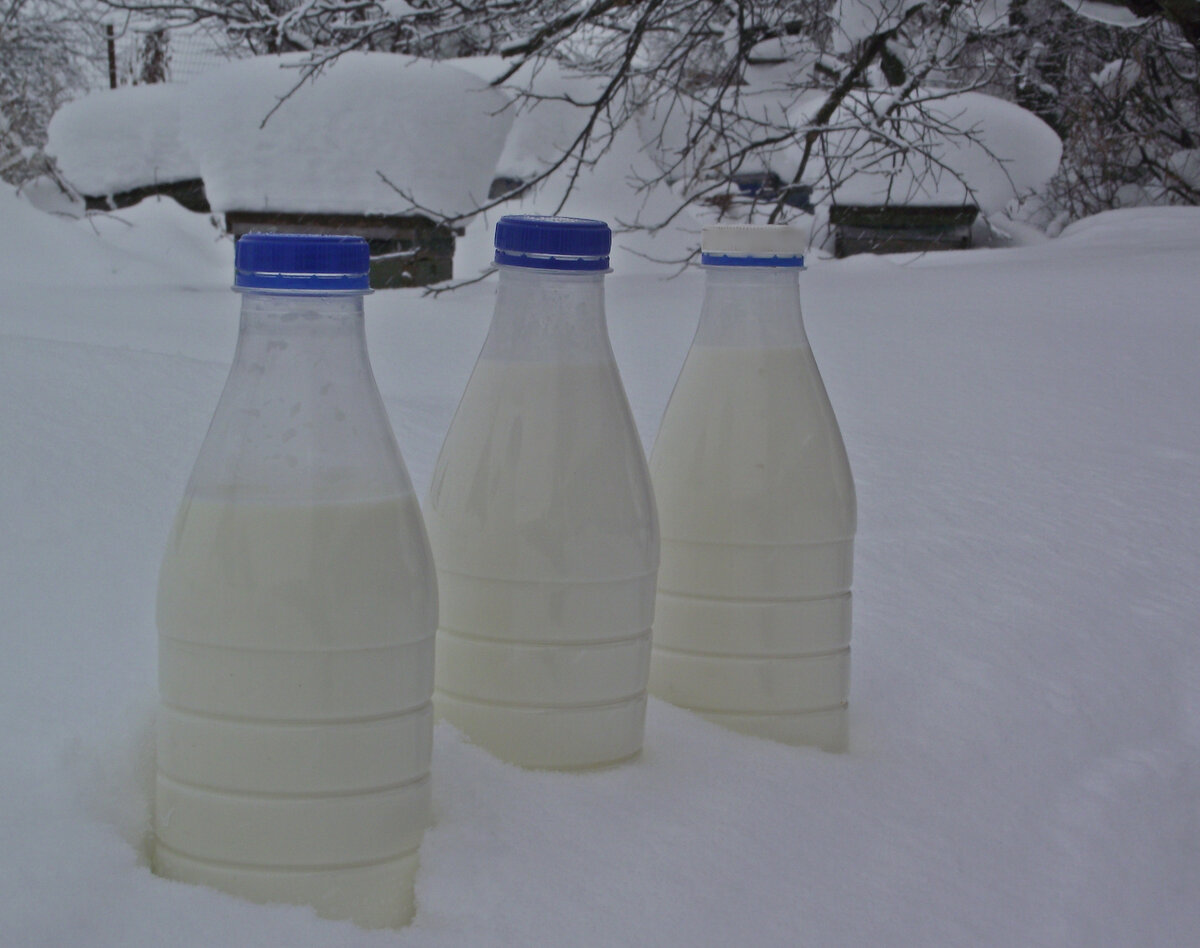 фото автора, молоко коз автора  - за двое суток чуть меньше трёх литров.