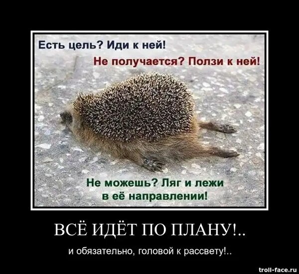 Наверное, пришло время хотя бы лечь в направлении цели)))