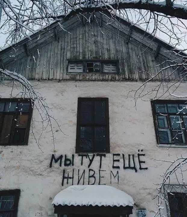 Фото из открытого доступа.