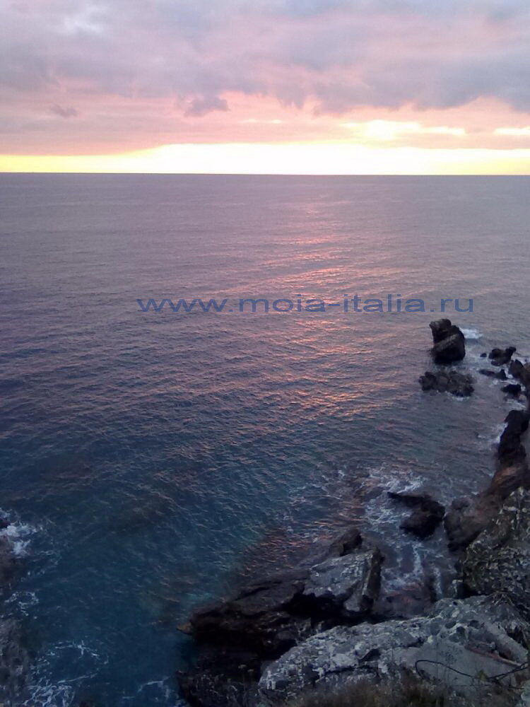 Тогда еще подписывала фотографии)) Они казались не обыкновенно удачными, а ведь делала старым телефоном Sony