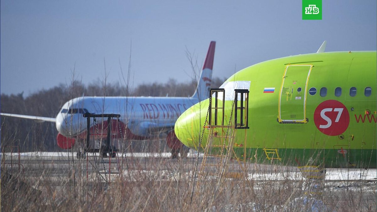    Фото: РИА Новости © 2022, Михаил Воскресенский