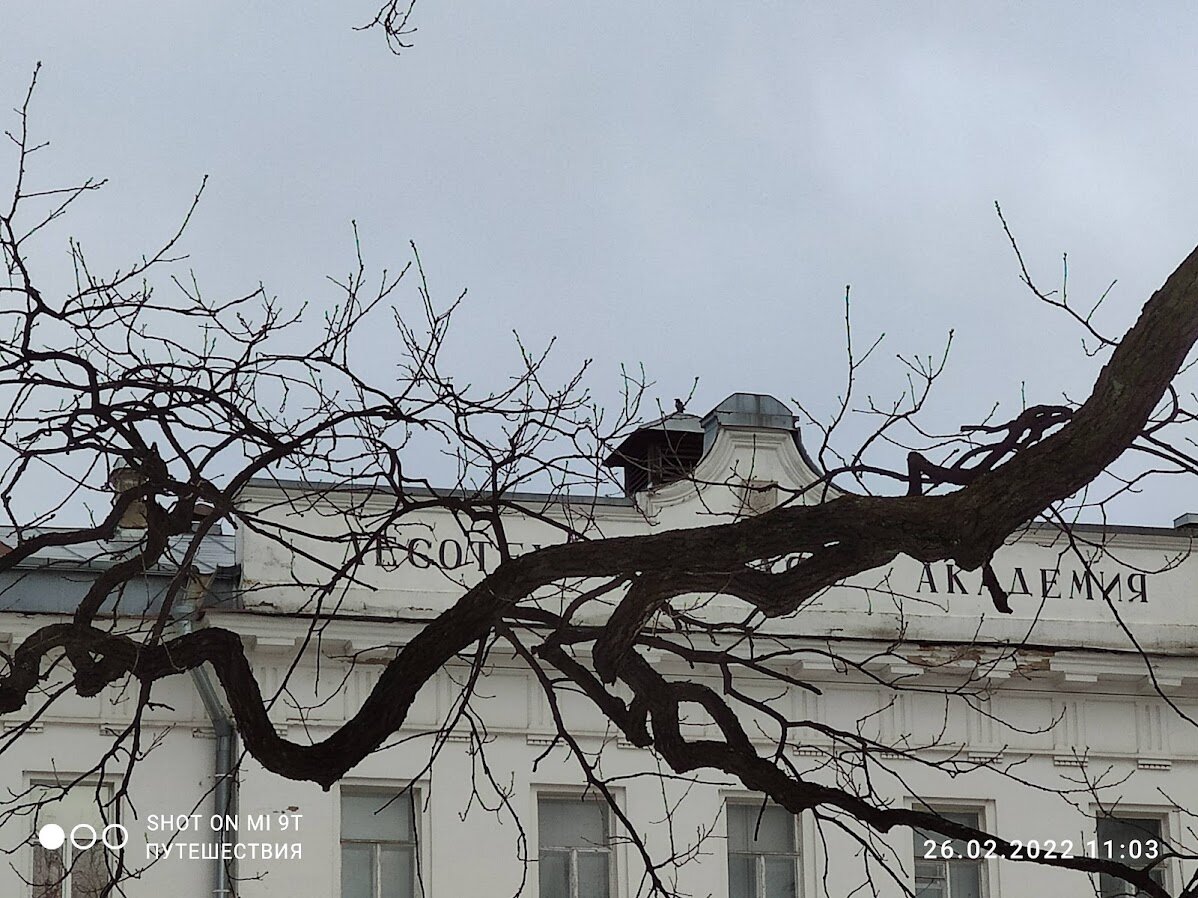 Санкт-Петербург. Парк Лесотехнической академии. Фото автора