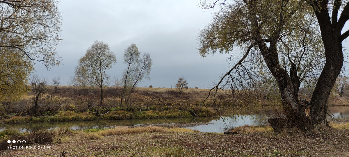 Фото сделано осенью 2020 года. Старица
