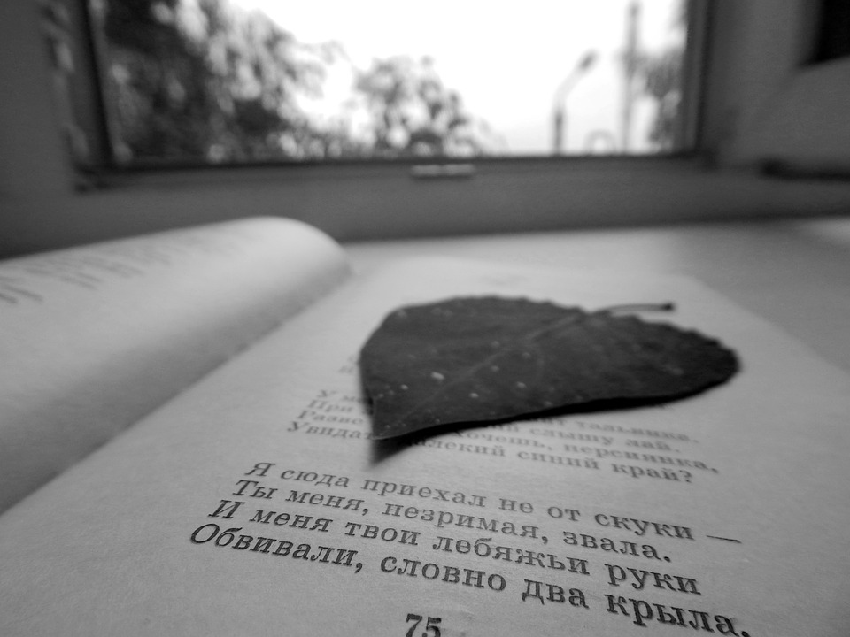 Фото для иллюстрации статьи с сайта Pixabay.com