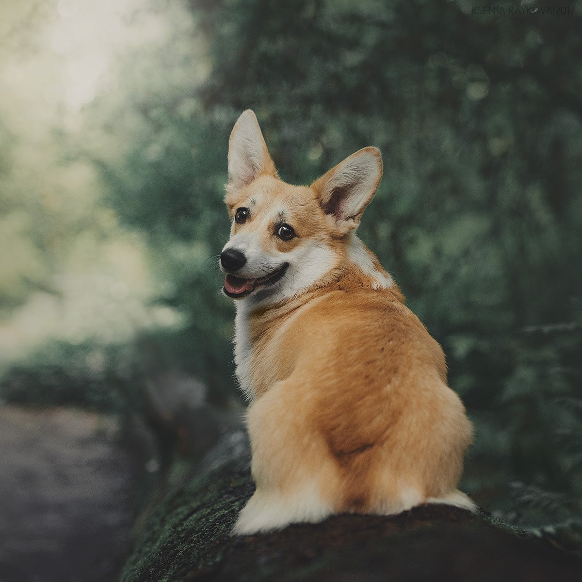 Фото - Ксения Райкова