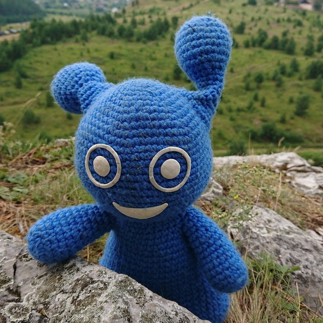 10 интересных фактов о водных обитателях ⠀